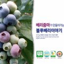 임실치즈벨리영농조합법인 | 유기농블루베리 산지직송/ 영농조합법인베리줌마
