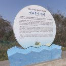 사천비토솔섬오토캠핑장 티스토리