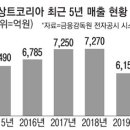 [단독] 日 스포츠의류 '데상트키즈' 매장 47곳 철수 이미지