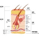 디자인줌