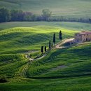 한국곰두리복지회 이미지