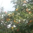 순익농장 이미지