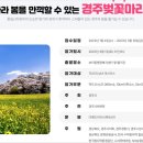 더레드커뮤니케이션즈