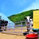 달뜨는마을 이미지