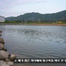 향토마을 이미지