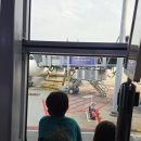 141 | 쿠알라룸푸르 → 시드니 말레이시아항공 MH141 후기 ✈️