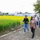 입석마을 이미지