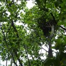 한전울타리 옆(아래) 이미지