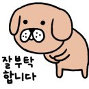 카샵모터스 이미지