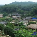 유산마을진입로 이미지