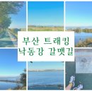 하단동1163 이미지