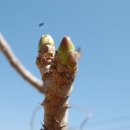 팔봉농장 이미지