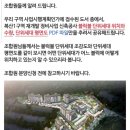 복산공인중개사사무소 이미지