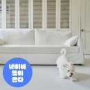 강아지 이모 | 강아지 미끄럼방지 매트 셀프시공 후기 휘슬펫매트 장단점