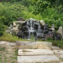 커피와소나무 이미지