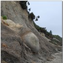 뉴질랜드 / 레 잌 테카포 - Moeraki Boulders - 더니든( 알바트로스 센터, 터넬 비치 ) 이미지