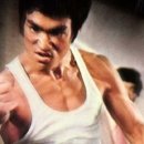 개청순한고양이 이미지