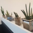 심곡초등학교 앞 이미지