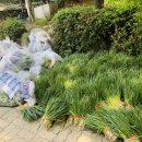 서구노인복지관 앞 이미지