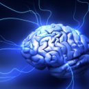 신드롬(syndrome)