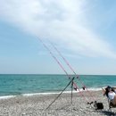 관성솔밭해변 이미지