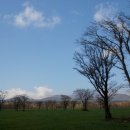 수림목장 이미지