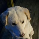 오션뷰제주게스트하우스 이미지