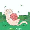 윈코 이미지