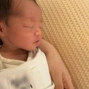 하나병원옆 | 동탄제일병원 자연분만 다인실 후기 샴푸/신생아실 면회/식사 등