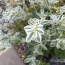 선바위역 5번 출구 이미지