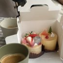 세이스테이 이미지