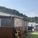 체리몽애견풀빌라 | 가평 애견풀빌라 강아지 천국도 체리몽애견풀빌라 내돈내산 찐후기