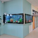 전주늘품유치원 이미지