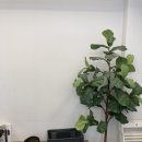 빈터커피로스터스 이미지