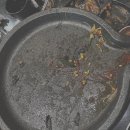 더곱따 | [방문 후기] 일산 라페스타 소곱창 맛집 곱따 | 소곱창모둠구이