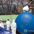 양영석농장 이미지