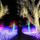 수성랜드 이미지