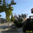 대동왕갈비