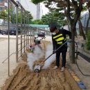 구봉초교병설 이미지