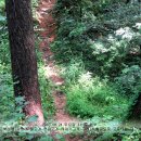 은산제2주유소 이미지