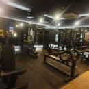 머슬원핏 시화점 이미지