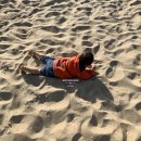 바다를 품은 보성회센타 이미지