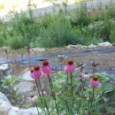 태기산아침의새소리 이미지