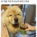 지임커피