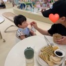 우스파파 | 공동육아 후기 feat.허니버디 수원점