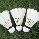 구리시 배드민턴장 이미지