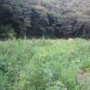 포항시남구28 이미지