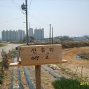 여주-0686 이미지