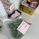 (주)노랑댕댕이 | [2025 10.20 ~ 11.11] 친구만나고 다이빙가고 단풍보는 일상