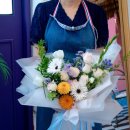 풀스테이더제주 이미지